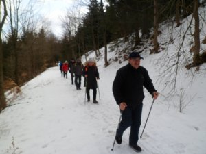 Zdjęcie kolorowe. Grupa osób w zimowej scenerii maszeruje szlakiem ze specjalnymi kijami do Nordic Wolking